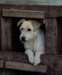 531787_680151745347219_900159145_n