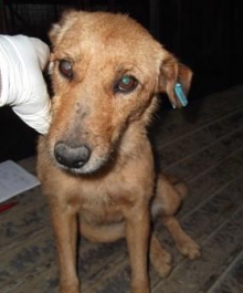 485057_582087738486954_1628519388_n