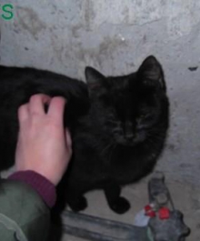 522509_582049555157439_660683913_n