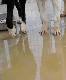 1940282_799249756770750_1884569668_n