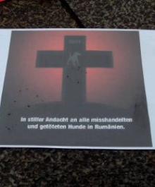 1382389_480437598720445_491804745_n